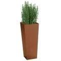 Box With Drainage