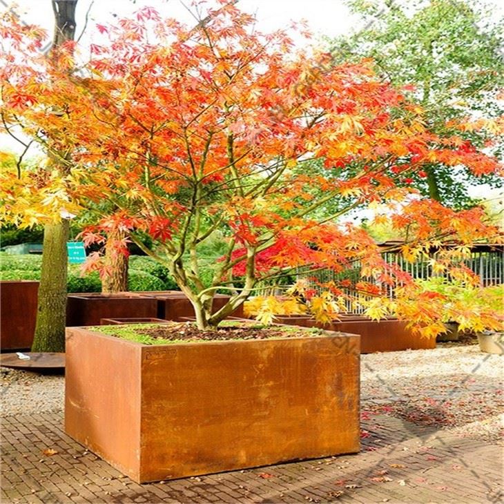 Galvanised Steel Raised Garden Beds
