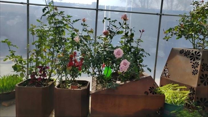 Eco-Friendly Corten Steel Planter Boxes price