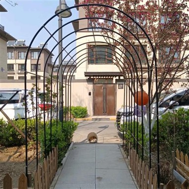Villa Courtyard Arch jernværksstøtte